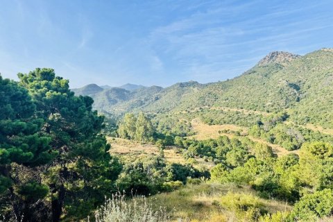 Land plot for sale Benahavis, Malaga, Spain No. 133970 - photo 4