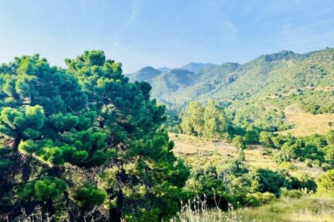 Land plot for sale Benahavis, Malaga, Spain No. 133970 - photo 5