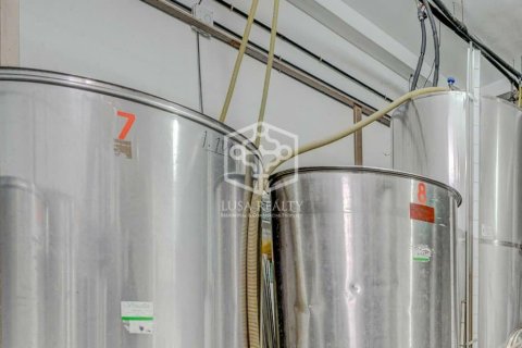 Продажа виллы в Вилафлор, Тенерифе, Испания 3 спальни, 268м2 №163109 - фото 10