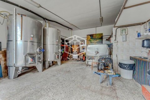 Продажа виллы в Вилафлор, Тенерифе, Испания 3 спальни, 268м2 №163109 - фото 12