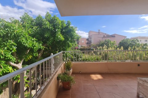 Wohnung zur Miete Palma de Majorca, Mallorca, Spanien 2 Schlafzimmer, 54 m2 Nr. 138849 - Foto 1