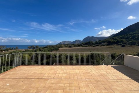 Wohnung zur Miete Colonia De Sant Pere, Mallorca, Spanien 5 Schlafzimmer, 247 m2 Nr. 138847 - Foto 1
