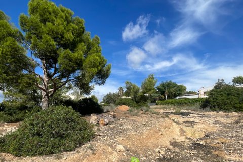 Tontti myytävänä Cala Vinyes, Mallorca, Espanja , 1380 m2 No. 138848 - kuva 3