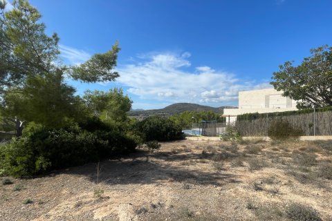 Tontti myytävänä Cala Vinyes, Mallorca, Espanja , 1380 m2 No. 138848 - kuva 6