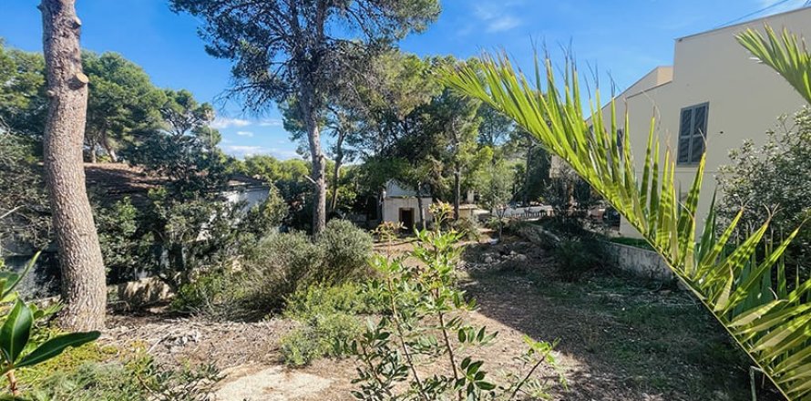 Tomt i El Toro, Mallorca, Spanien Nr. 143775