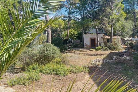 Tomt till salu i El Toro, Mallorca, Spanien Nr. 143775 - foto 6