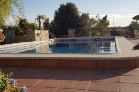 Finca for sale in Los Montesinos, Alicante, Spain 2 bedrooms, 120 sq.m. No. 145567 - photo 18