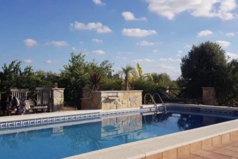 Finca for sale in Los Montesinos, Alicante, Spain 2 bedrooms, 120 sq.m. No. 145567 - photo 16