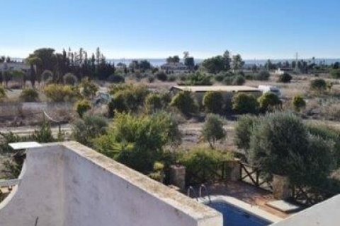 Finca for sale in Los Montesinos, Alicante, Spain 2 bedrooms, 120 sq.m. No. 145567 - photo 21