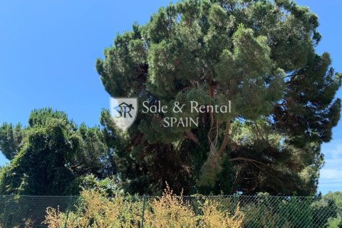 Продажа земельного участка в Льорет-де-Мар, Герона, Испания 1 спальня, 894м2 №166504 - фото 2