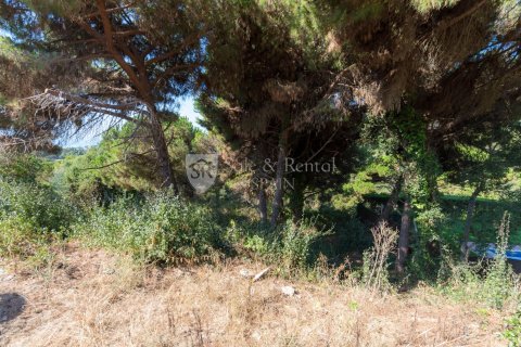 Продажа земельного участка в Льорет-де-Мар, Герона, Испания 1 спальня, 894м2 №166504 - фото 5