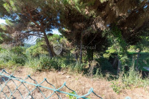 Продажа земельного участка в Льорет-де-Мар, Герона, Испания 1 спальня, 894м2 №166504 - фото 4