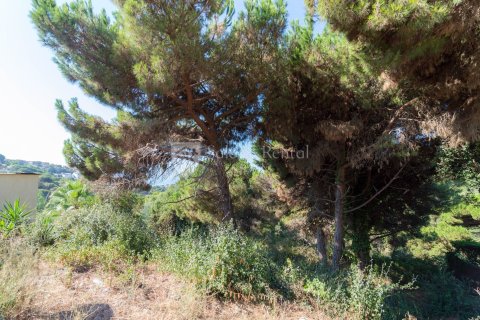 Земельный участок в Льорет-де-Мар, Герона, Испания 1 спальня, 894м2 №166504