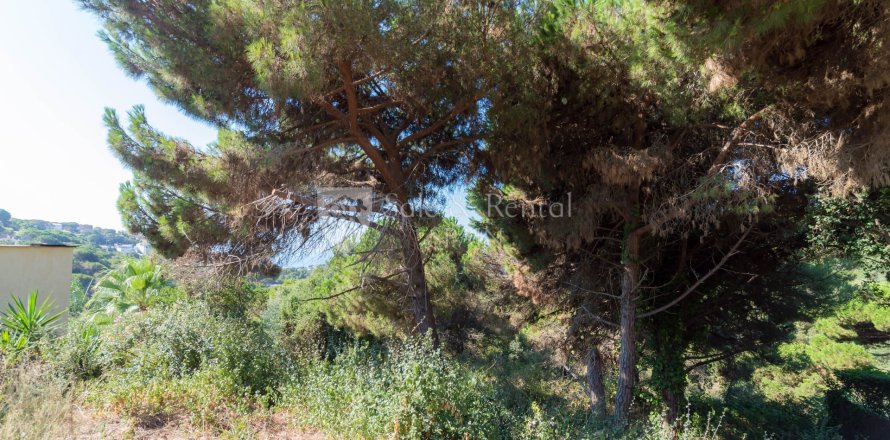 Земельный участок в Льорет-де-Мар, Герона, Испания 1 спальня, 894м2 №166504