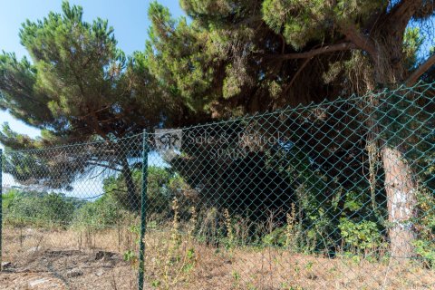 Продажа земельного участка в Льорет-де-Мар, Герона, Испания 1 спальня, 894м2 №166504 - фото 3