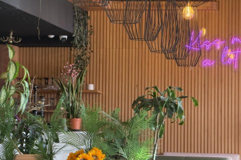 Kommersiell fastighet till salu i Benidorm, Alicante, Spanien 290 kvm. Nr. 149704 - foto 9