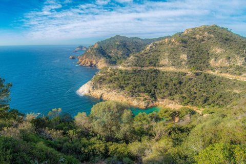 House for sale in Tossa de Mar, Girona, Spain 5 bedrooms, 307 sq.m. No. 167724 - photo 2