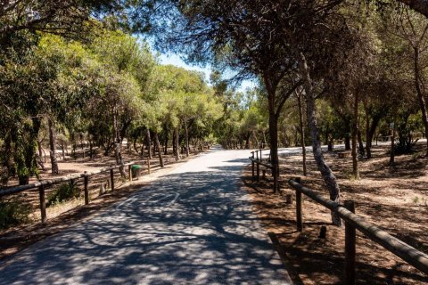 Appartamento in vendita a Guardamar del Segura, Alicante, Spagna 2 camere da letto, 95 mq. N° 134811 - foto 13