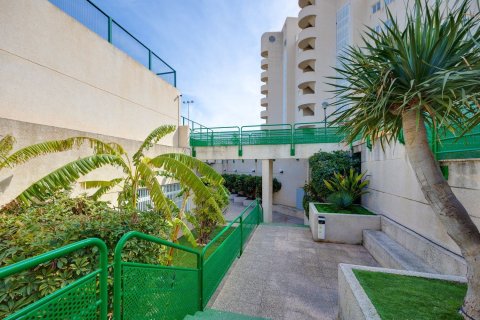 Lägenhet till salu i El Campello, Alicante, Spanien 2 sovrum, 98 kvm. Nr. 179824 - foto 20