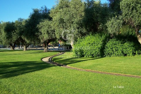 Tontti myytävänä Burjassot, Valencia, Espanja , 90 m2 No. 186195 - kuva 5