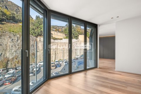 Apartment à vendre à Principado De Andorra (Ninguna Poblacion Tiene C.P.), Lleida, Espagne, 2 chambres, 101 m2 No. 160345 - photo 10