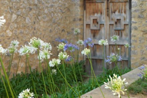 Finca à louer à Arta, Mallorca, Espagne, 4 chambres, 561 m2 No. 164301 - photo 2