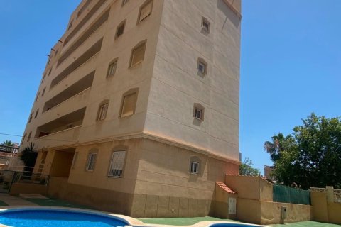 Dzīvoklis pārdošanā Torrevieja, Alicante, Spānijā 2 istabas, 65 m2 Nr. 186861 - attēls 28