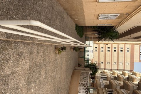 Dzīvoklis pārdošanā Torrevieja, Alicante, Spānijā 2 istabas, 65 m2 Nr. 186861 - attēls 25
