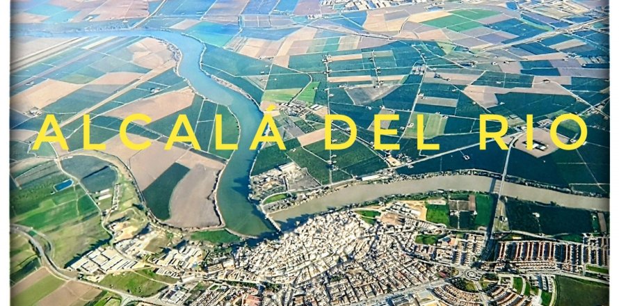 Земельный участок в Алкала-дель-Рио, Севилья, Испания 1667м2 №153688