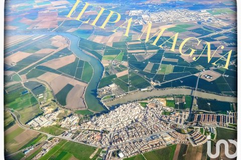 Продажа земельного участка в Алкала-дель-Рио, Севилья, Испания 1667м2 №153688 - фото 15