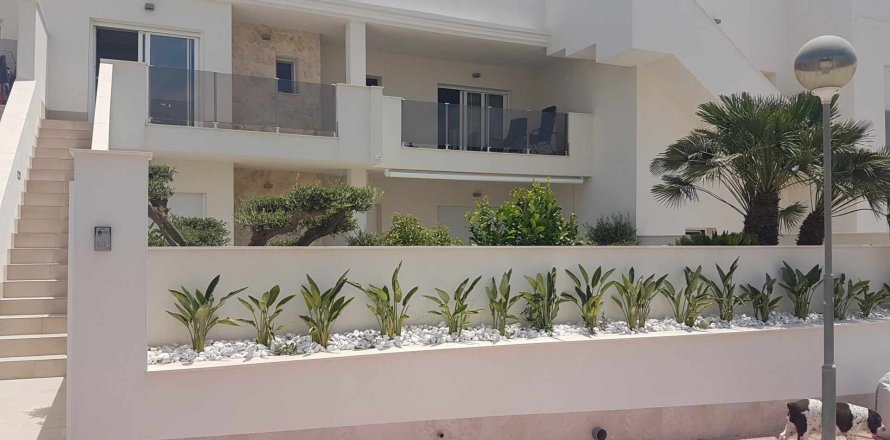 Apartment Villamartin, Alicante, Spain 2 bedrooms, No. 119273