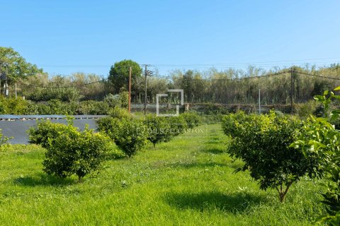 Villa for sale in Arenys de Mar, Barcelona, Spain 13 bedrooms, 651 sq.m. No. 150280 - photo 25