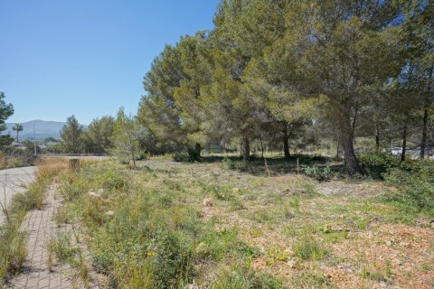 Tomt till salu i Javea, Alicante, Spanien Nr. 183868 - foto 4