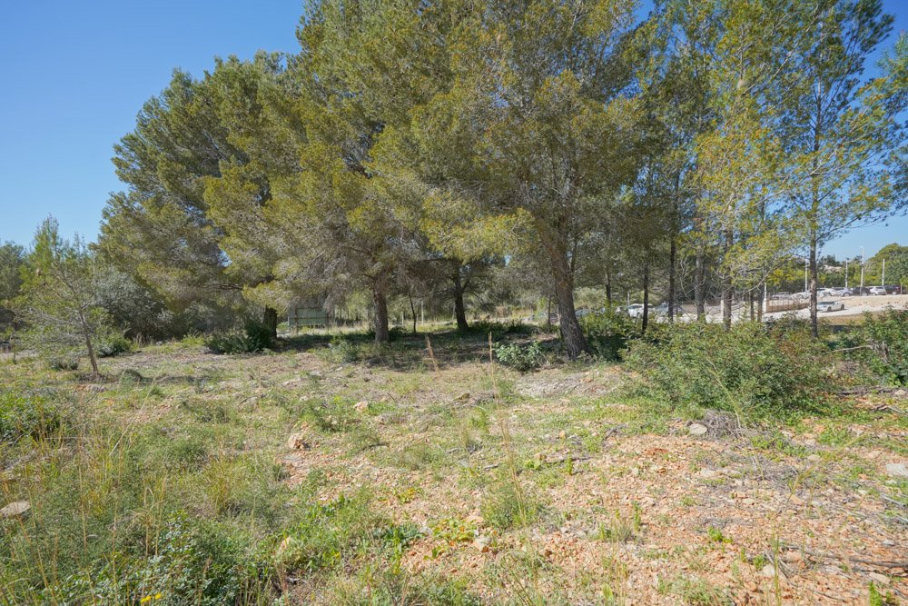 Parcela en Jávea, Alicante, España No. 183868