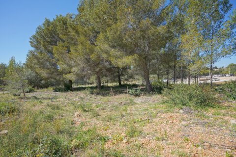 Tomt till salu i Javea, Alicante, Spanien Nr. 183868 - foto 2