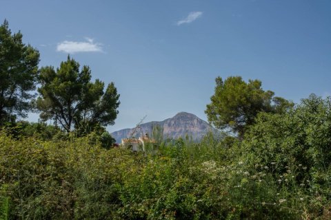 Działka w Javea, Alicante, Hiszpania nr 183866