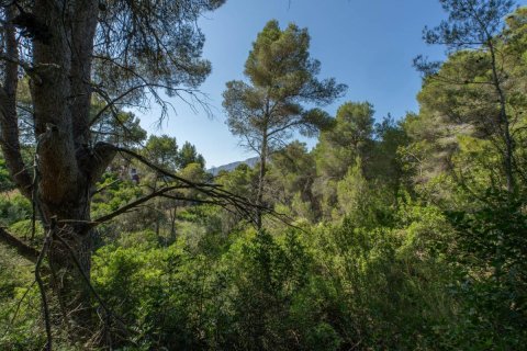 Tomt till salu i Javea, Alicante, Spanien Nr. 183866 - foto 2