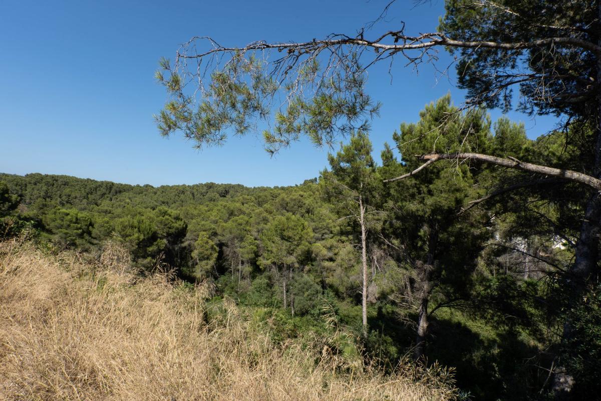 Land plot in Javea, Alicante, Spain No. 183866