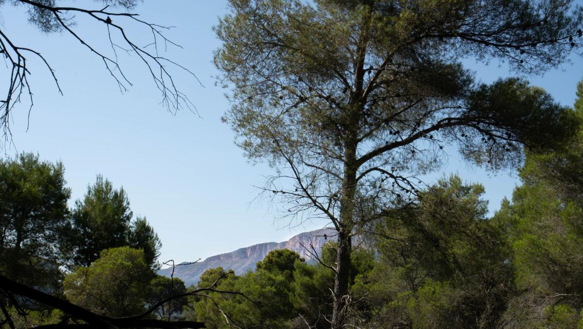 Land plot in Javea, Alicante, Spain No. 183866