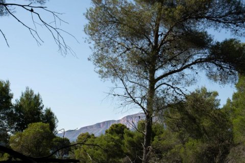 Tomt till salu i Javea, Alicante, Spanien Nr. 183866 - foto 3