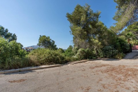Tomt till salu i Javea, Alicante, Spanien Nr. 183866 - foto 4