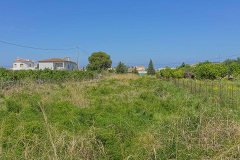 Land zum Verkauf in Denia, Alicante, Spanien Nr. 183869 - Foto 2