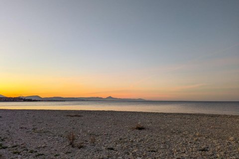 Land zum Verkauf in Denia, Alicante, Spanien Nr. 183869 - Foto 11