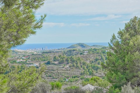 Land zum Verkauf in Benissa, Alicante, Spanien Nr. 183870 - Foto 2