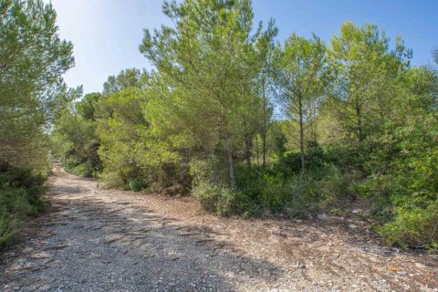 Land zum Verkauf in Javea, Alicante, Spanien Nr. 183867 - Foto 2
