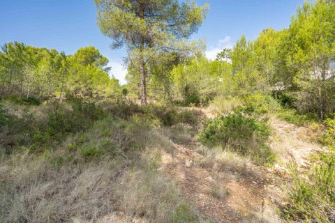 Land zum Verkauf in Javea, Alicante, Spanien Nr. 183867 - Foto 4