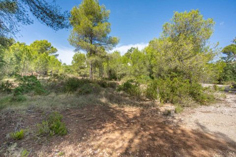Terreno a Javea, Alicante, Spagna N° 183867