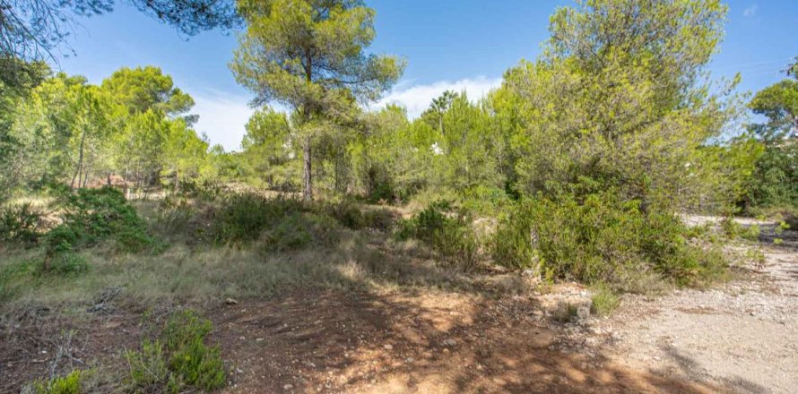 Land in Javea, Alicante, Spanien Nr. 183867