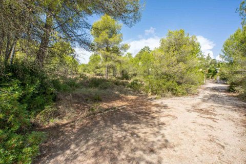 Land zum Verkauf in Javea, Alicante, Spanien Nr. 183867 - Foto 3