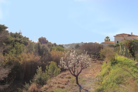 Działka w Benissa, Alicante, Hiszpania nr 183864